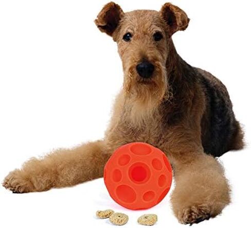 Omega Paw Tricky Treat Ball, Large in Saudi Arabia