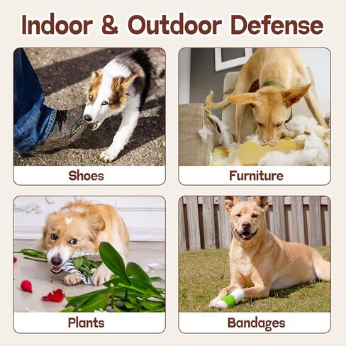 folaymass No Chew Spray for Dogs, Dog & Cat Deterrent Spray, Bitter Apple Spray for Dogs to Stop Chewing, Dog Training & Behavior Aids in Kuwait