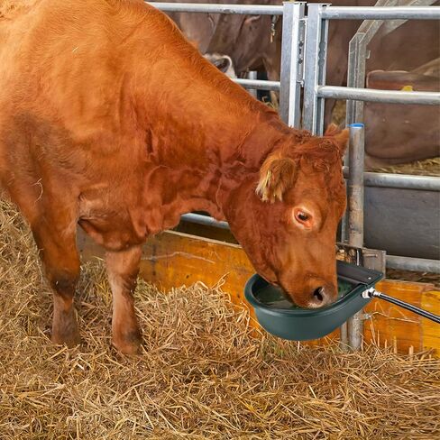 Animal Water Drinking Trough, Automatic Cow Drinking Water Bowl Feeder Trough Dispenser Waterer Livestock Water Tank with Float Ball Valves for Pet Dog Horse Cattle Goat Sheep in Saudi Arabia