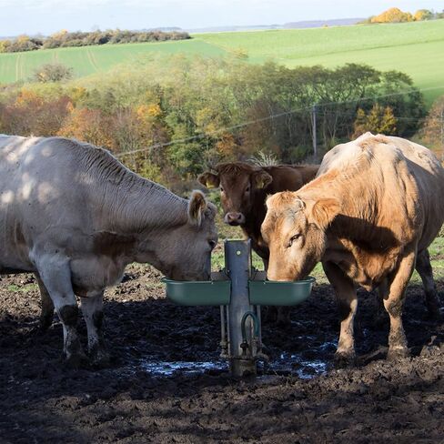 Animal Water Drinking Trough, Automatic Cow Drinking Water Bowl Feeder Trough Dispenser Waterer Livestock Water Tank with Float Ball Valves for Pet Dog Horse Cattle Goat Sheep in Saudi Arabia