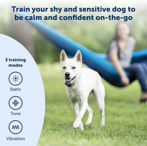 طوق التدريب عن بعد بطول 300 ياردة من PetSafe - إصدار أصغر للكلاب الصغيرة أو المتوسطة - اختر من بين النغمة أو الاهتزاز أو 15 مستوى من التحفيز الثابت - خيار متوسط ​​المدى لتدريب الكلاب المقيدة in Kuwait