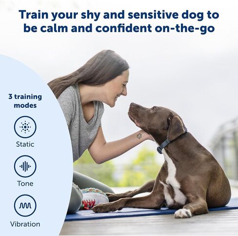 طوق التدريب عن بعد بطول 300 ياردة من PetSafe - إصدار أصغر للكلاب الصغيرة أو المتوسطة - اختر من بين النغمة أو الاهتزاز أو 15 مستوى من التحفيز الثابت - خيار متوسط ​​المدى لتدريب الكلاب المقيدة in Kuwait