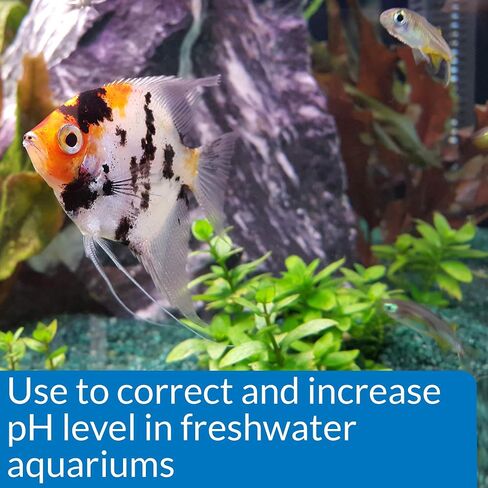 API pH UP Freshwater Aquarium Water pH Raising Solution 16-Ounce Bottle (31B) in Saudi Arabia