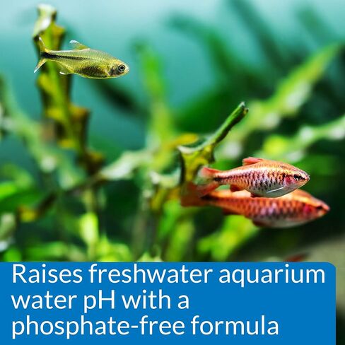 API pH UP Freshwater Aquarium Water pH Raising Solution 16-Ounce Bottle (31B) in Saudi Arabia