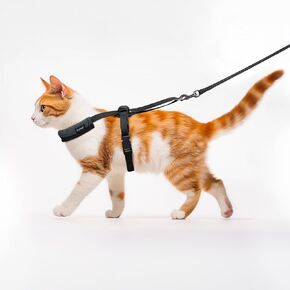 Furee Push-Button Harness for Cats Small Dogs Bunnys Ferrets for Walking, Non-Bulky, Open-Shoulders, Fully Adjustable Anti-Flop Over Max Mobility Escape-Proof Harness for Pets (Large)