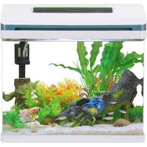 بيتا حوض للأسماك 5 جالون زجاج ذاتي التنظيف طقم خزان أسماك صغير مع زخارف إضاءة LED ومرشحات مضخة مياه in Kuwait