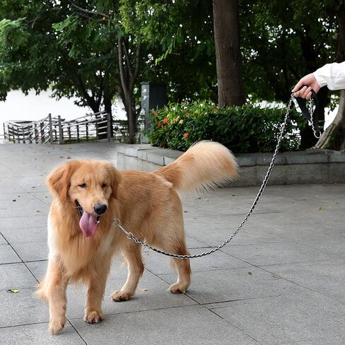 Chain Dog Leash, Bite-Proof Metal Leash, with Padded Handle Orange in Kuwait