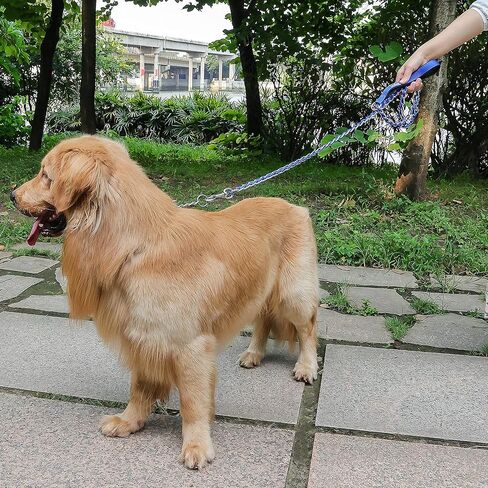 Chain Dog Leash, Bite-Proof Metal Leash, with Padded Handle Orange in Kuwait