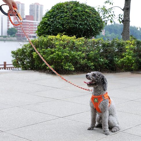 Chain Dog Leash, Bite-Proof Metal Leash, with Padded Handle Orange in Kuwait