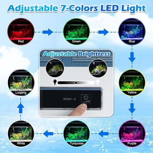 بيتا حوض للأسماك 5 جالون زجاج ذاتي التنظيف طقم خزان أسماك صغير مع زخارف إضاءة LED ومرشحات مضخة مياه in Kuwait