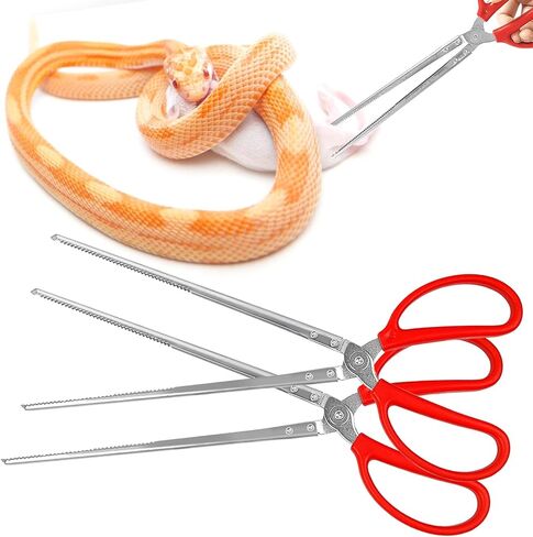 ملقط تغذية الثعبان، ملاقط تغذية الزواحف 15 انش، ملاقط كبيرة طويلة للغاية لاكسسوارات كرة الذرة، ملحقات خزان الزواحف والتنين الملتحي، لوازم تربية الحيوانات in Kuwait