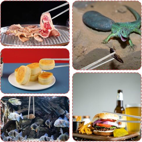 ملقط تغذية الثعبان، ملاقط تغذية الزواحف 15 انش، ملاقط كبيرة طويلة للغاية لاكسسوارات كرة الذرة، ملحقات خزان الزواحف والتنين الملتحي، لوازم تربية الحيوانات in Kuwait