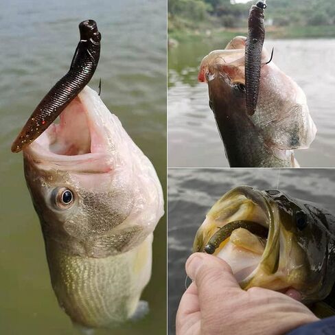 Ned-Rig-Kit-Finesse-Baits-Soft-Plastic-Worms-Fising-إغراء لعصا البيس سويمبيت جراد البحر السحر Shroom Ned Jig Head Kit in Kuwait