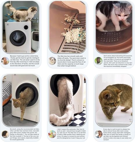 CATBOAT Self Cleaning Cat Litter Box Scoop Free Automatic Cat Litter Box Smart with APP Control (2.4Ghz WiFi), Odor Removal, Safe Lock, Quiet Large Space for Cats Kitty Self Scooping Auto Litter Box in Kuwait