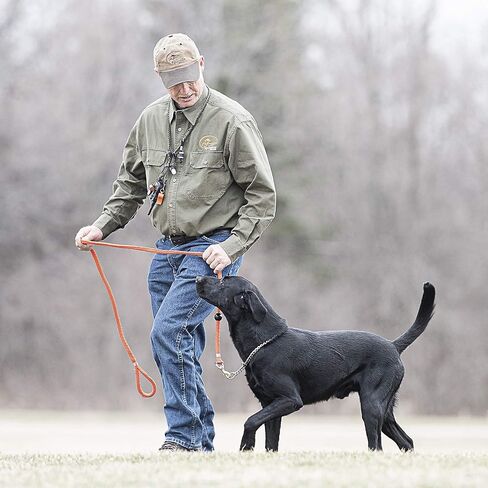 صفارة روي جونيا سبيشال من سبورت دوج براند, With Pea, Red in Kuwait