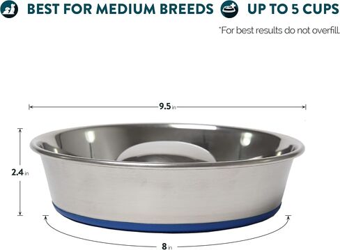 وعاء للكلاب من الفولاذ المقاوم للصدأ ممتاز من OurPets DuraPet Slow Feed، فضي، صغير (2040010300) in Kuwait