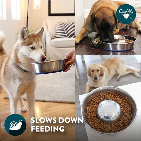 وعاء للكلاب من الفولاذ المقاوم للصدأ ممتاز من OurPets DuraPet Slow Feed، فضي، صغير (2040010300) in Kuwait