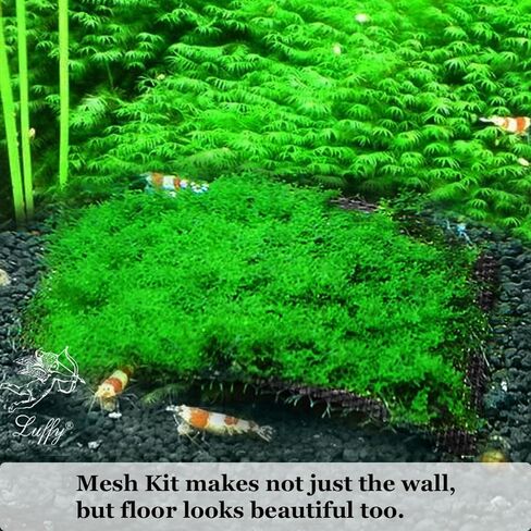 لوفي مجموعة شبكة جدارية او ارضية من الطحالب المائية، لوح تثبيت عمودي للحديقة، يمنع الدجاج والقطط من حفر الحديقة والنباتات المحفوظة في اصيص واغطية السرير in Saudi Arabia