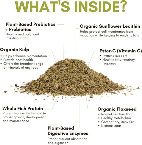 Wholistic Pet Organics Feline Complete: مسحوق الفيتامينات المتعددة للقطط - 8 أونصة - مكملات دعم المناعة للقطط - مضادات الأكسدة - نكهة اليقطين العضوية (اليقطين العضوي، 8 أونصة) in Kuwait