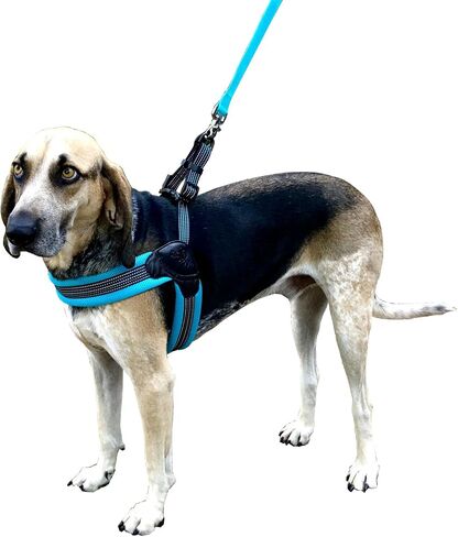 Sporn Easy-Fit Mesh Dog Harness Small Sized Dog, Gray Soft Fabric Nylon No Choke Dog Harness Small Size Dog, Breathable & Easy Dog Walking Harness, Provides to Small Breeds in Saudi Arabia