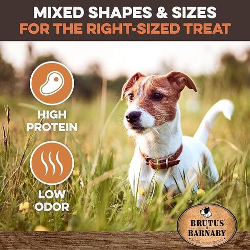 BRUTUS & BARNABY Bully Stick Bites - Grass Fed Low Odor Bully Stick Bites- All Natural and Grain Free (2lb) in Kuwait