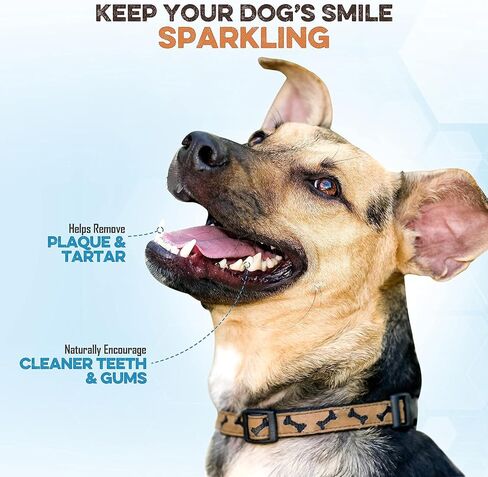 BRUTUS & BARNABY Bully Stick Bites - Grass Fed Low Odor Bully Stick Bites- All Natural and Grain Free (2lb) in Kuwait