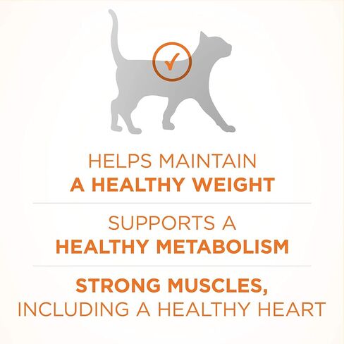 Purina ONE Healthy Weight Dry Cat Food, High Protein, 7 lb Bag in Kuwait