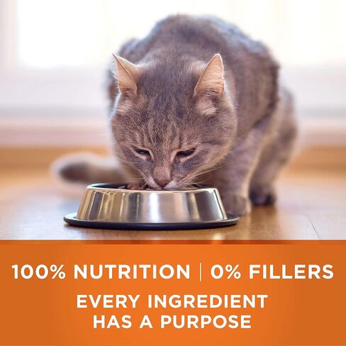 Purina ONE Healthy Weight Dry Cat Food, High Protein, 7 lb Bag in Kuwait