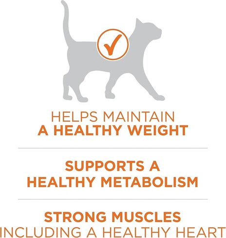 Purina ONE Healthy Weight Dry Cat Food, High Protein, 7 lb Bag in Kuwait