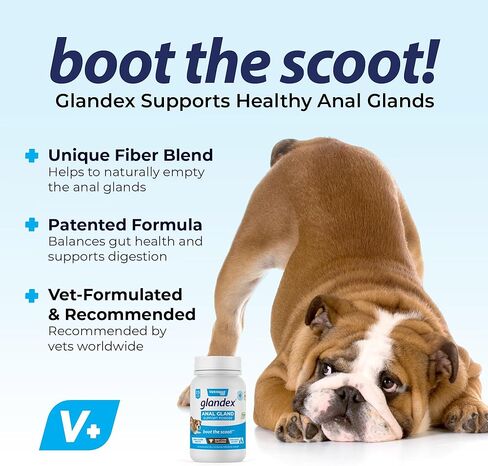 Vetnique Glandex Dog Fiber Supplement Powder for Anal Glands with Pumpkin, Digestive Enzymes & Dog Probiotics for Digestive Health - Vet Recommended - Boot The Scoot (Vegan Salmon, 2.5oz Powder) in Kuwait