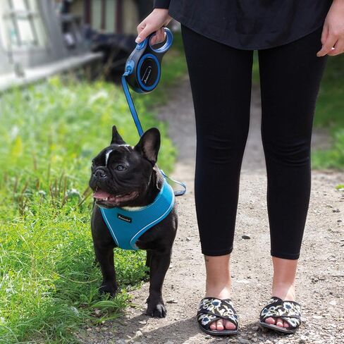 allpetsolutions Retractable Dog Leash Extending Lead - 110 lb Dogs; 26 ft - with Anti-Slip Brake, Release Button, Anti-Twist Lobster Clip, Soft Grip Handle - for Small, Medium, Large Pets - Purple in Saudi Arabia