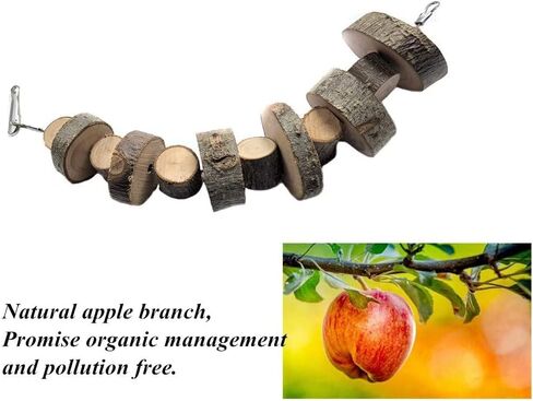 في سي زون 15 قطعة من العاب الخنزير الغيني والهامستر والشنشيلة، العاب مضغ للارانب والجربيل والجربيل الخشبي، دمبل تمرين، كرات مرحة للحيوانات الاليفة، لعبة لعب للحيوانات الاليفة الصغيرة (15 قطعة) in Kuwait