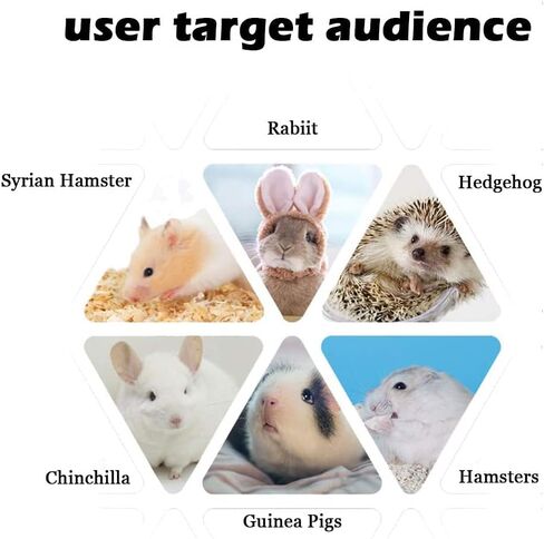 في سي زون 15 قطعة من العاب الخنزير الغيني والهامستر والشنشيلة، العاب مضغ للارانب والجربيل والجربيل الخشبي، دمبل تمرين، كرات مرحة للحيوانات الاليفة، لعبة لعب للحيوانات الاليفة الصغيرة (15 قطعة) in Kuwait