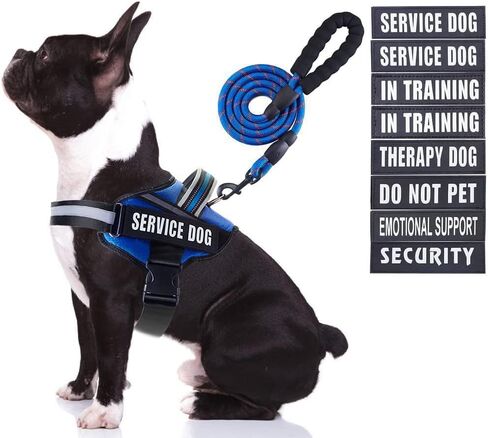 Service Dog Vest Harness and Leash Set, Animire in Training Dog Harness with 10 Dog Patches, Reflective Dog Leash with Soft Padded Handle for Small, Medium, Large, and Extra-Large Dogs (RED,S) in Kuwait