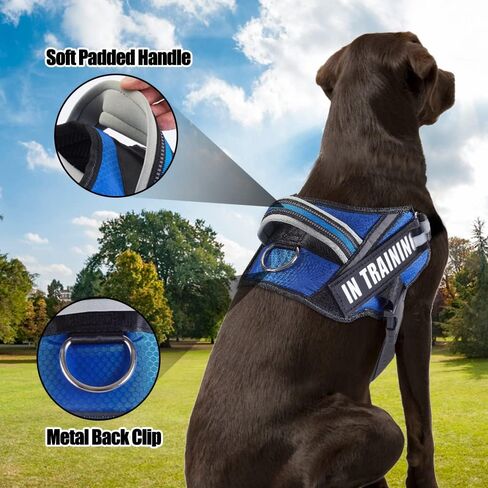 Service Dog Vest Harness and Leash Set, Animire in Training Dog Harness with 10 Dog Patches, Reflective Dog Leash with Soft Padded Handle for Small, Medium, Large, and Extra-Large Dogs (RED,S) in Kuwait