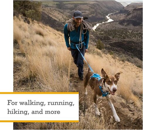 Ruffwear، حزام فلاجلاين للكلاب، خفيف الوزن للرفع والمساعدة مع مقبض مبطن، رمادي جرانيت، متوسط in Kuwait