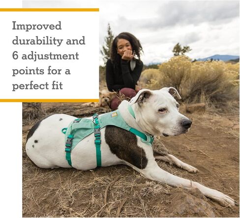 Ruffwear، حزام فلاجلاين للكلاب، خفيف الوزن للرفع والمساعدة مع مقبض مبطن، رمادي جرانيت، متوسط in Kuwait