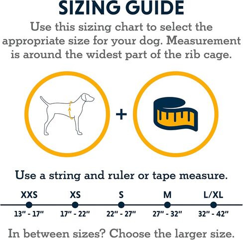 Ruffwear، حزام فلاجلاين للكلاب، خفيف الوزن للرفع والمساعدة مع مقبض مبطن، رمادي جرانيت، متوسط in Kuwait