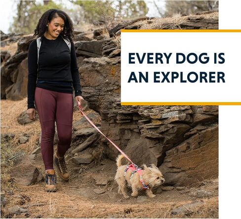 Ruffwear، حزام فلاجلاين للكلاب، خفيف الوزن للرفع والمساعدة مع مقبض مبطن، رمادي جرانيت، متوسط in Kuwait