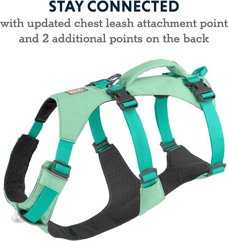 Ruffwear، حزام فلاجلاين للكلاب، خفيف الوزن للرفع والمساعدة مع مقبض مبطن، رمادي جرانيت، متوسط in Kuwait