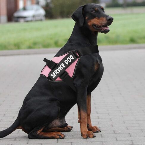 MUMUPET Service Dog Harness, No Pull Easy On and Off Pet Vest Harness, 3M Reflective Breathable & Easy Adjust Pet Halters with Nylon Handle - No More Tugging or Choking for Small Medium Large Dogs in Kuwait