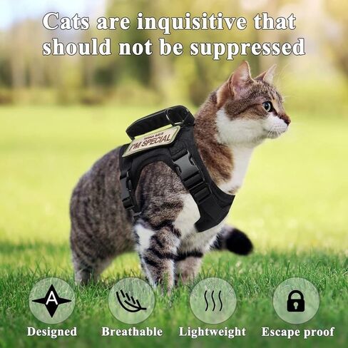حزام تكتيكي عسكري للقطط للمشي ومقاوم للهروب، حزام جر للحيوانات الأليفة قابل للتعديل، حبل جر سهل التحكم للقطط الكبيرة والكلاب الصغيرة (أسود) in Kuwait