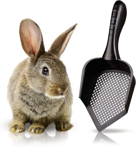 SunGrow Litter Scoop for Rabbits, Black 12" x 5" x 2" Plastic Shovel, Deep Scatterproof Sides, Pointed Edge for Reaching Corners, Ergonomic Handle, Boosts Optimal Pet Well-Being, 1-pc in Saudi Arabia