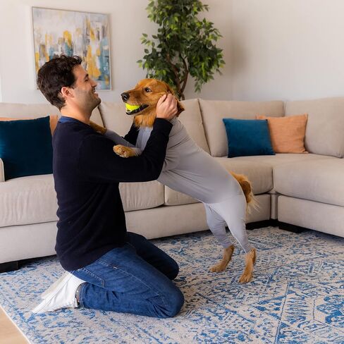 Shed Defender Original Dog Onesie - يظهر على خزان القرش، بدلة تساقط للكلاب، بدلة تعافي للتعقيم والخصي بعد الجراحة، قميص مهدئ للقلق، حماية من حساسية البقع الساخنة، معتمد من الطبيب البيطري in Kuwait