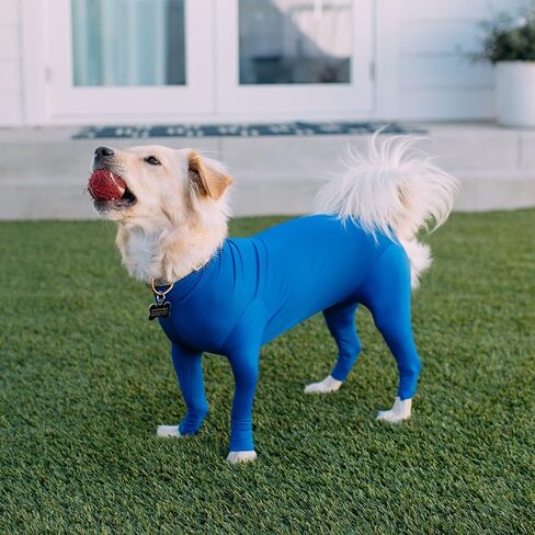 Shed Defender Original Dog Onesie - يظهر على خزان القرش، بدلة تساقط للكلاب، بدلة تعافي للتعقيم والخصي بعد الجراحة، قميص مهدئ للقلق، حماية من حساسية البقع الساخنة، معتمد من الطبيب البيطري in Kuwait