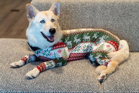 Shed Defender Original Dog Onesie - Seen on Shark Tank, Shedding Bodysuit for Dogs, Recovery Suit for Post-surgery Spay & Neuter, Anxiety Vest Calming Shirt, Hot Spot Allergy Protection, Vet Approved in Kuwait