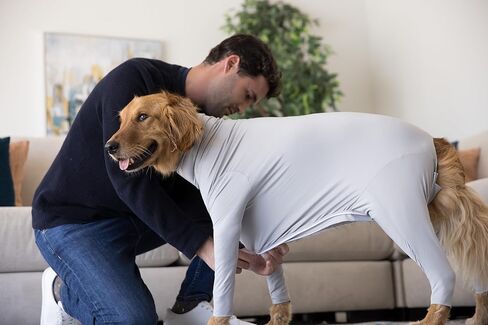 Shed Defender Original Dog Onesie - Seen on Shark Tank, Shedding Bodysuit for Dogs, Recovery Suit for Post-surgery Spay & Neuter, Anxiety Vest Calming Shirt, Hot Spot Allergy Protection, Vet Approved in Kuwait