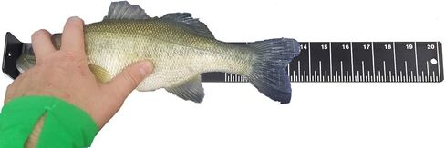 لوحة قياس الأسماك الرسمية من RITE-HITE - قم بقياس قبضتك حتى 50.8 سم in Kuwait