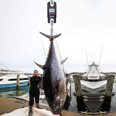 Hanging Scale 660Lb 300Kg, RISEPRO for Industrial, Farm, Hunting, Bow Draw Weight, Big Fish & Hoyer Lift with Accurate Sensor in Kuwait