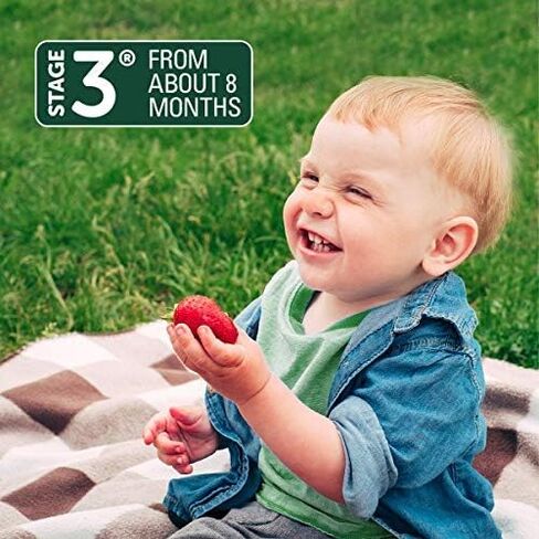 Beech-Nut Probiotic Melties Baby & Toddler Snack Melts, Pear Mango Spinach Yogurt, 1 oz (7 Pack) in Saudi Arabia